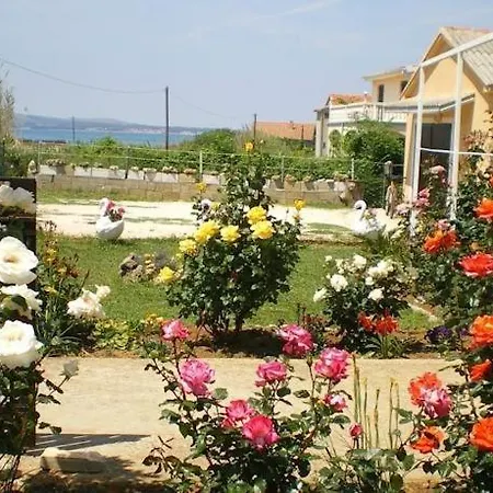 Apartment In Privlaka With Sea View, Balcony, Air Conditioning, W-lan 667-1